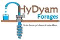 HYDYAM FORAGES